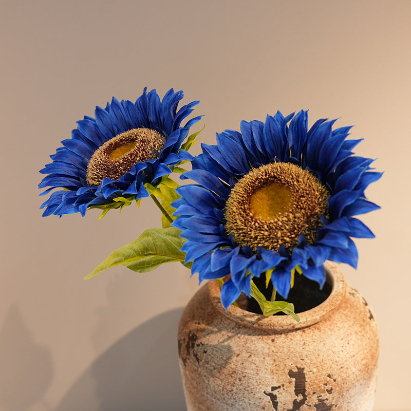 Decorative Plant Stornfield