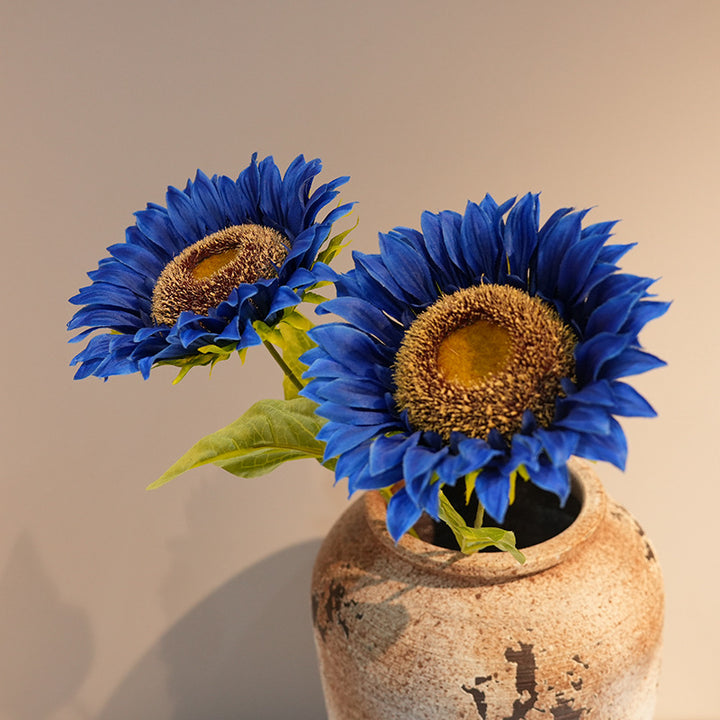 Decorative Plant Stornfield