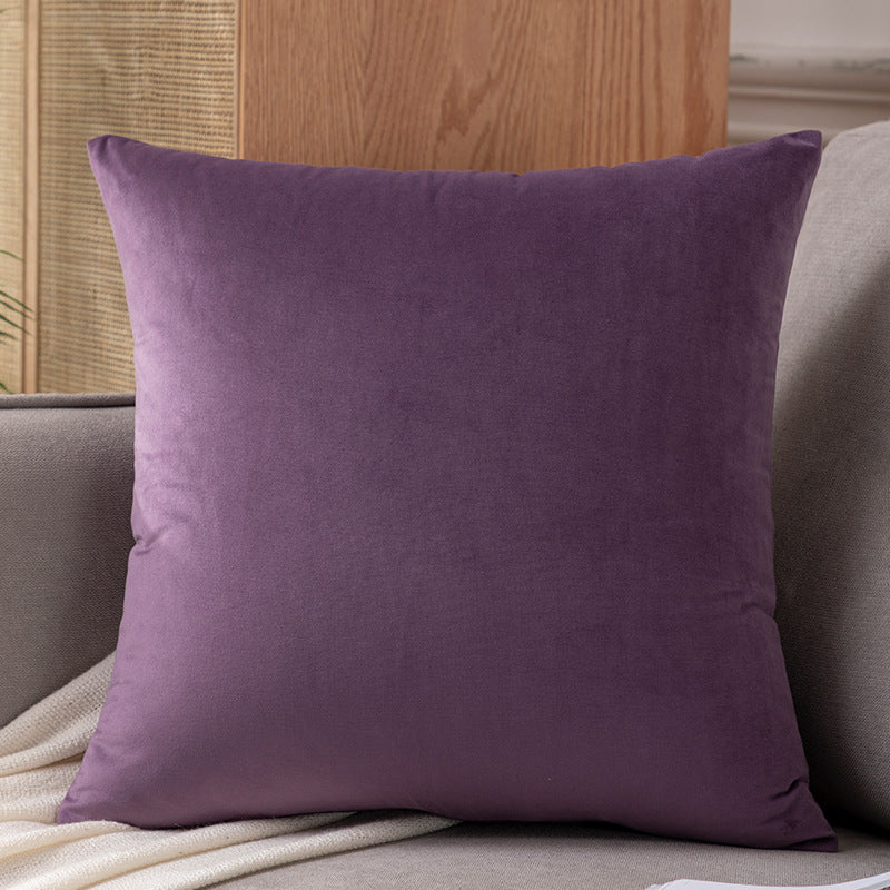 Plush Velvet Decorative Pillow