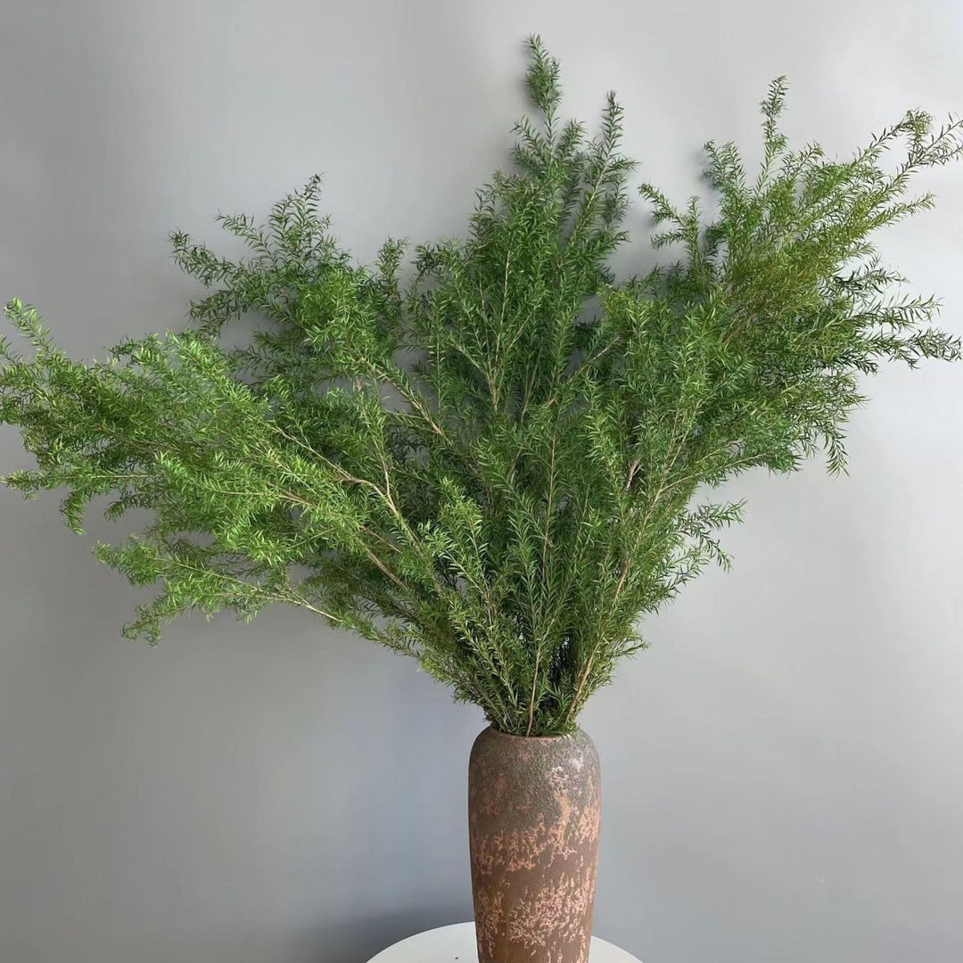 Premium Dried Floral Stems