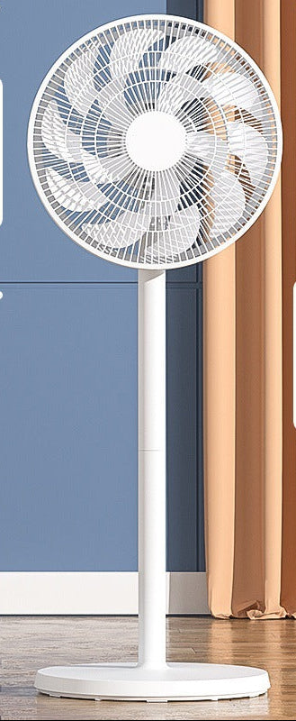 Ladies Stand Fan Stornfield