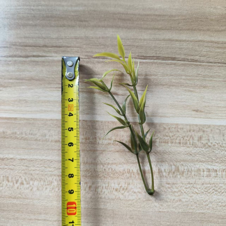 Decorative Green Fern Stem