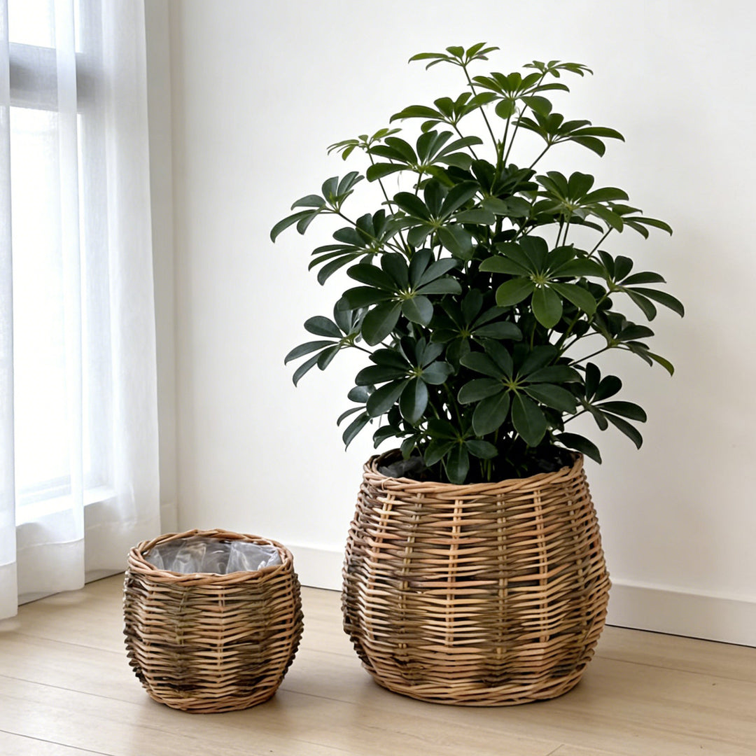 Handcrafted basket with natural flair Stornfield