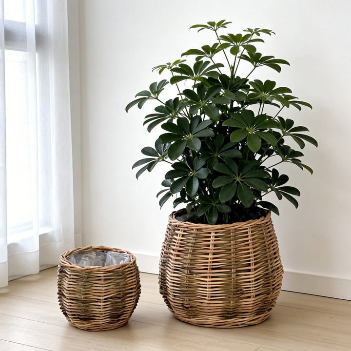 Handcrafted basket with natural flair Stornfield