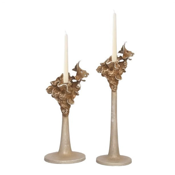 Decorative Horn Brush
