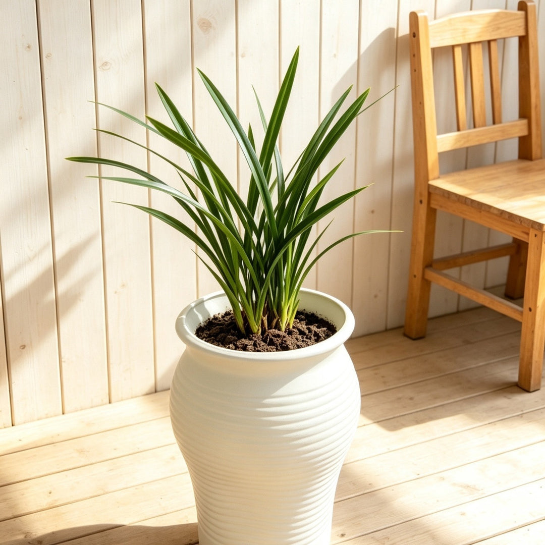 Decorative Planter Stornfeild