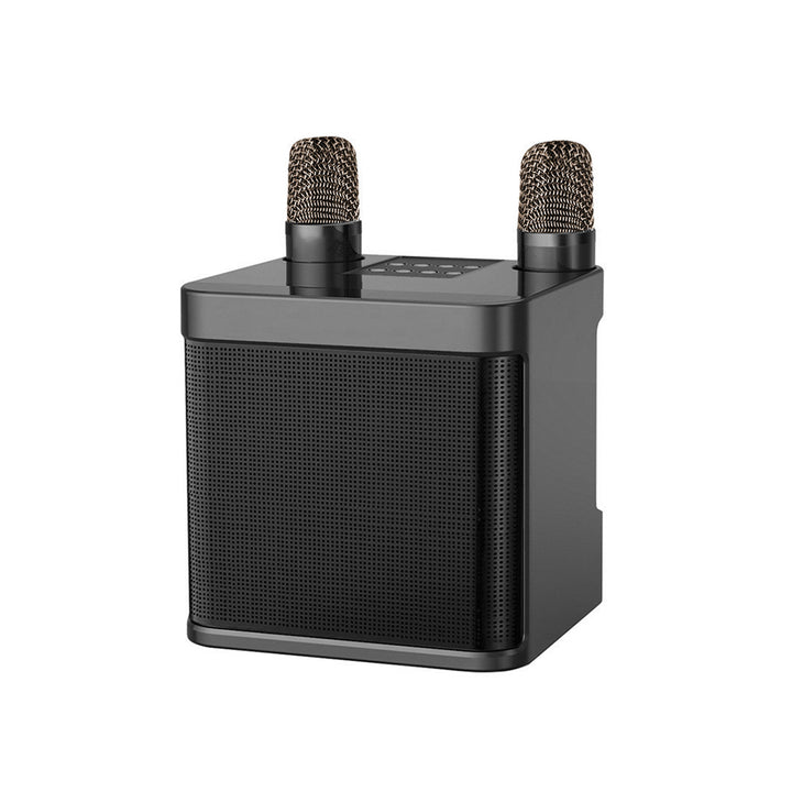 Wireless Karaoke Sound System Stornfield