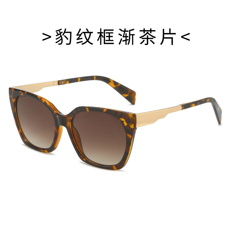Women's oversized sunglasses with elegant transparent frame and golden accents Stornfield