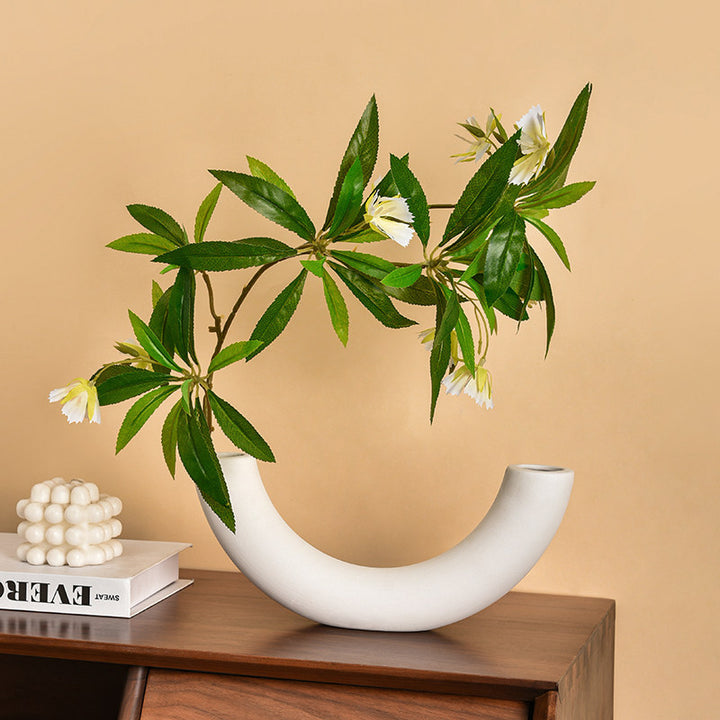Artistic Curved Vase for Home Decor Display