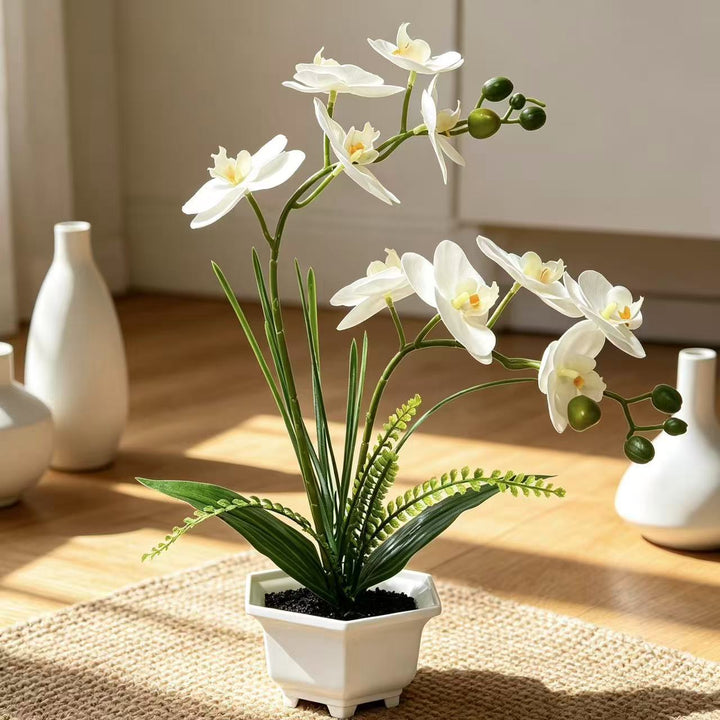 Home Decorative Artificial Orchid for Home Decor and Display