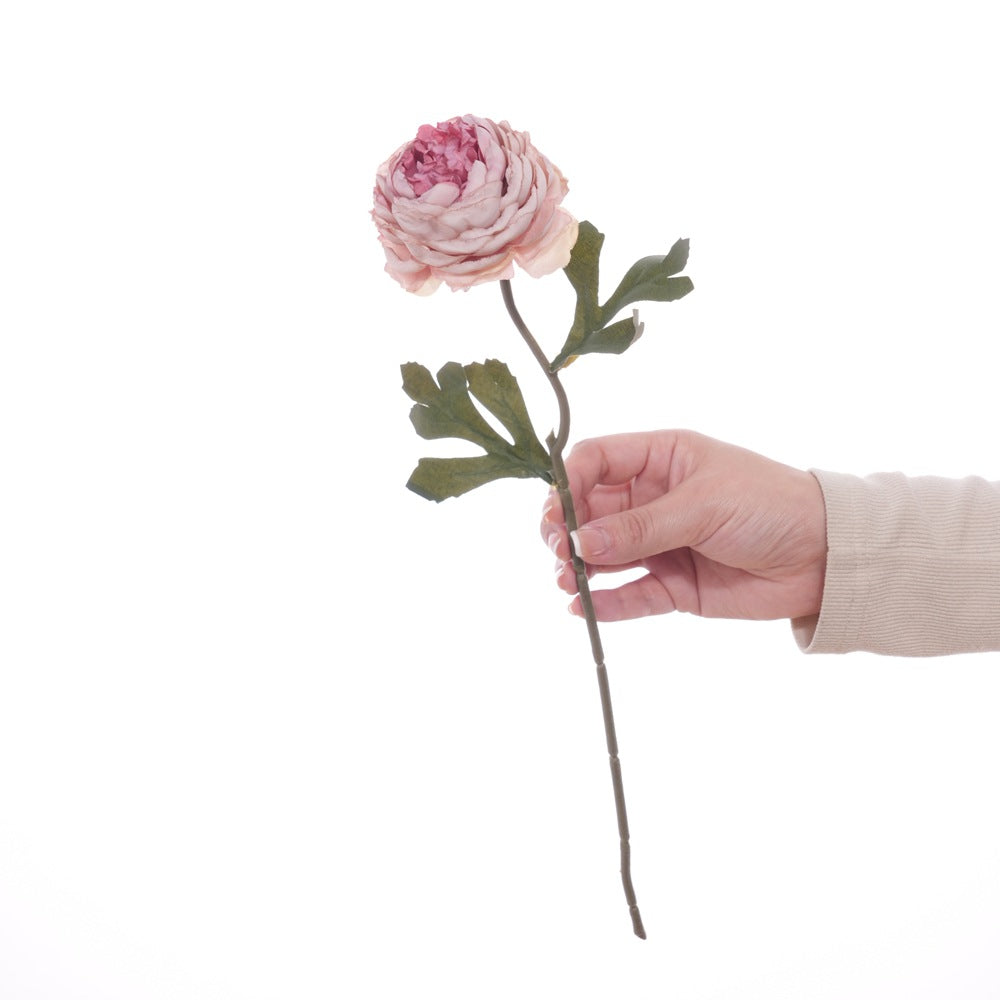 Realistic Floral Stem with Detailed Petals