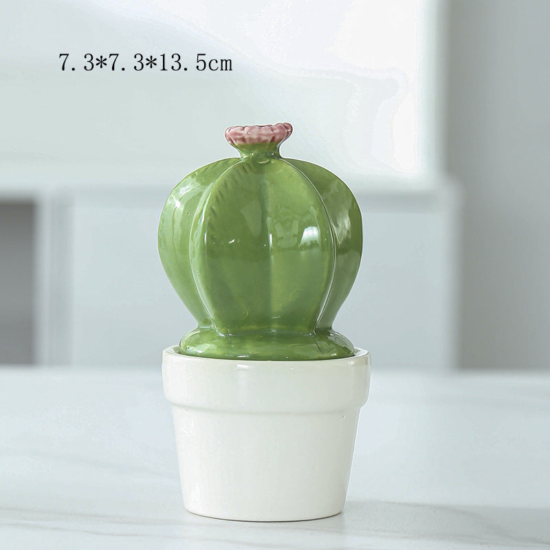 Decorative Ceramic Cactus Planter Stornfeild
