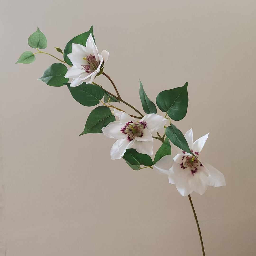 Realistic Magnolia Branch