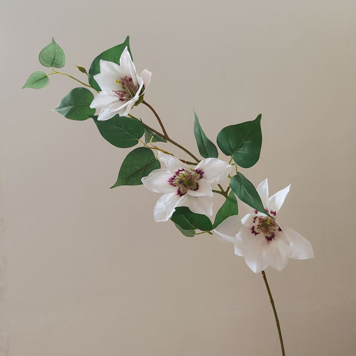 Realistic Magnolia Branch