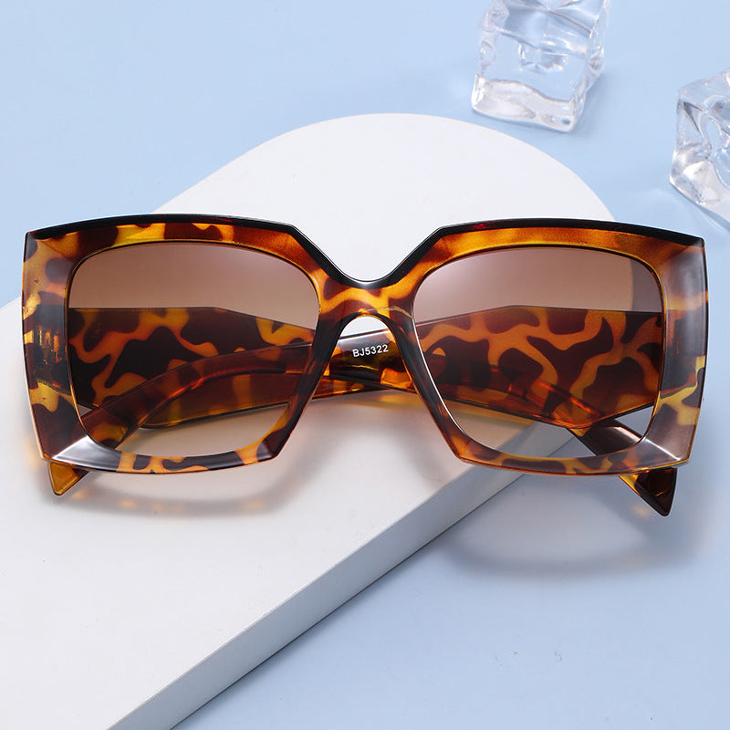 Women's Extravagant Oversized Sunglasses in Modern Design Stornfield