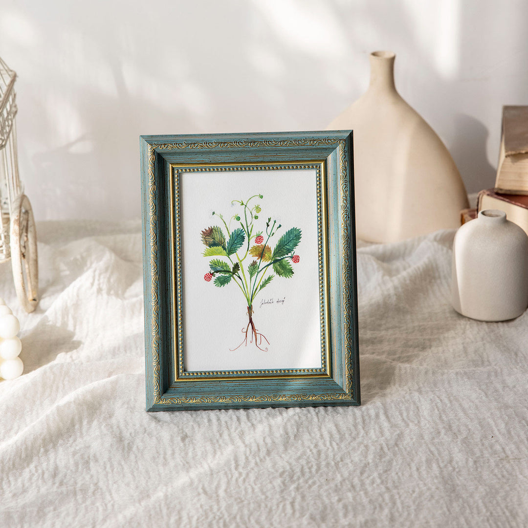 Decorative Botanical Illustration Frame
