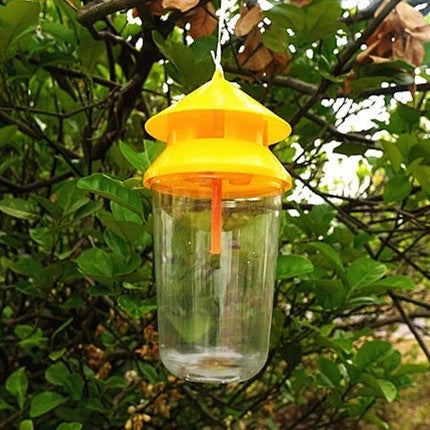 Reusable outdoor insect fly trap with non-toxic bait reservoir and Hanging canopy Stornfield