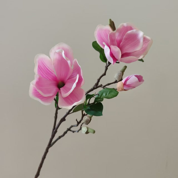 Realistic Magnolia Blossom Stem