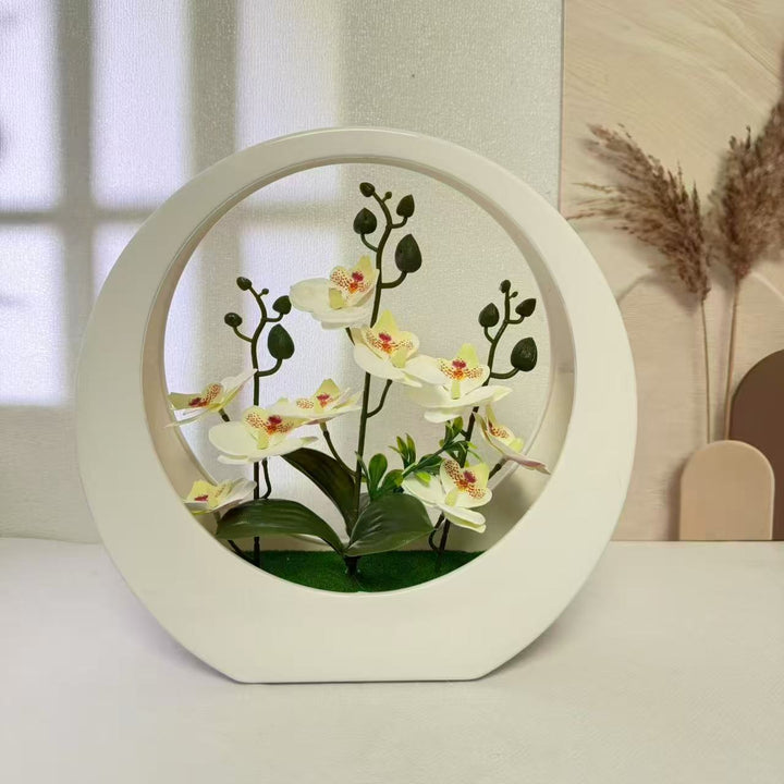 Elegant Decorative Orchid Plant Display for Home Decor