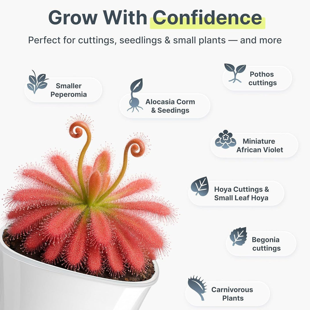 Self-Watering Plant Pot Set Stornfield