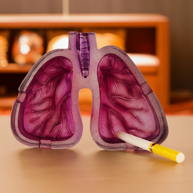 Educational Anatomical Model
