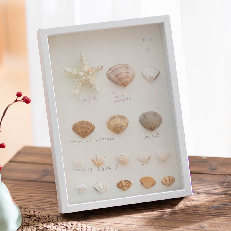 Decorative Shells Display Frame for Home