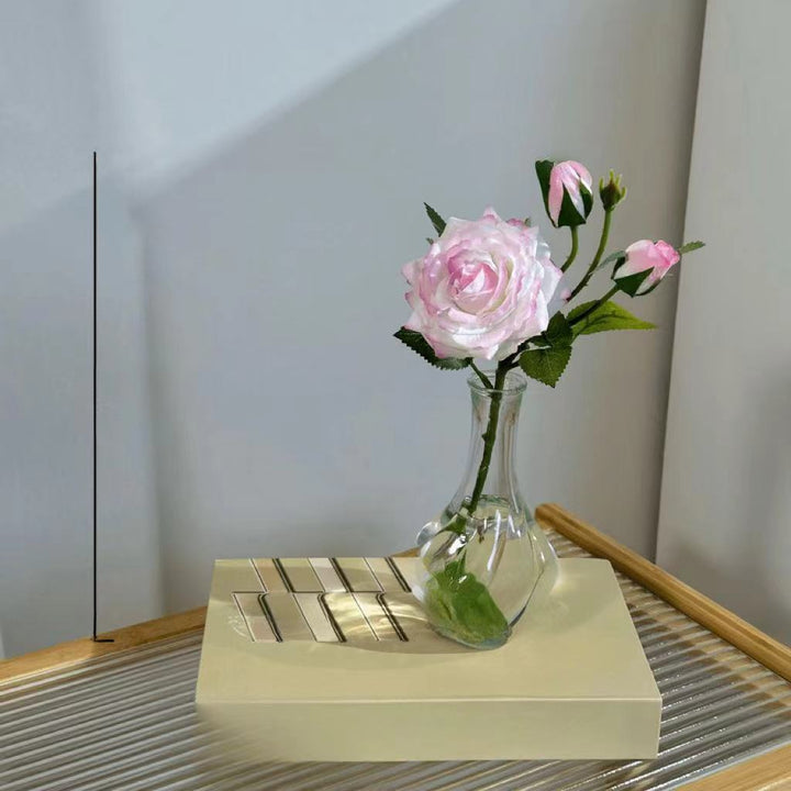 Decorative Flower Vase for Indoor Home Display