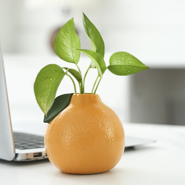 Whimsical Ceramic Fruit-Shaped Vase Stornfeild