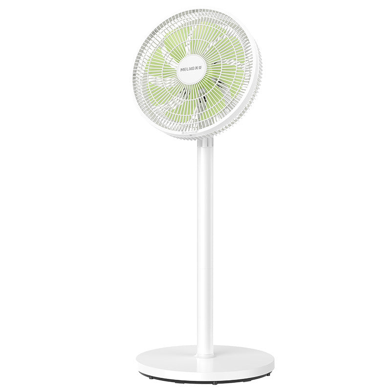 Ladies Stand Fan Stornfield