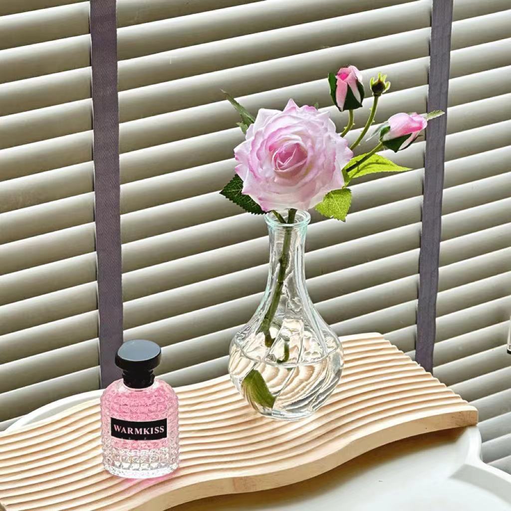 Decorative Flower Vase for Indoor Home Display