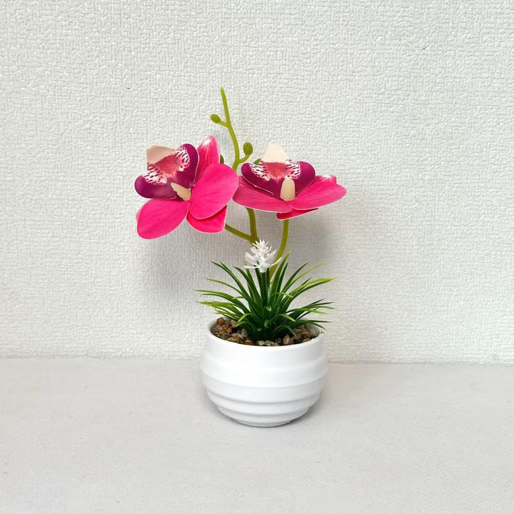 Decorative Miniature Orchid Centerpiece