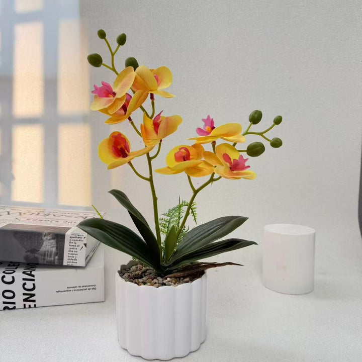 Home Decorative Artificial Orchid for Indoor Decorative Display