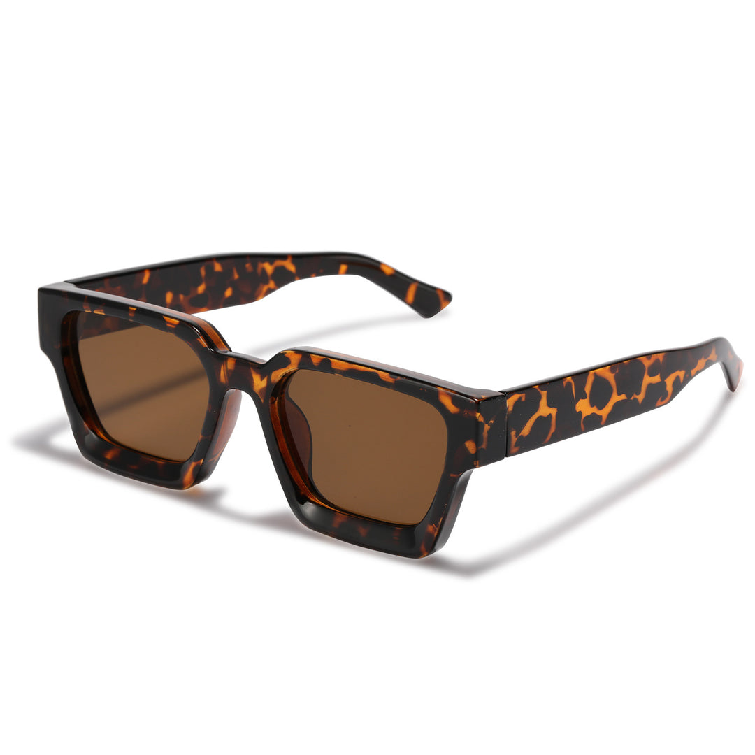 Women's fashionable sunglasses with clear frame and gradient lenses Stornfield