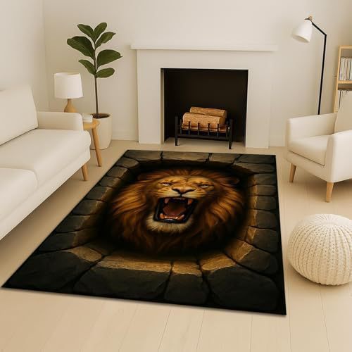 3D Optical Illusion Area Rug
