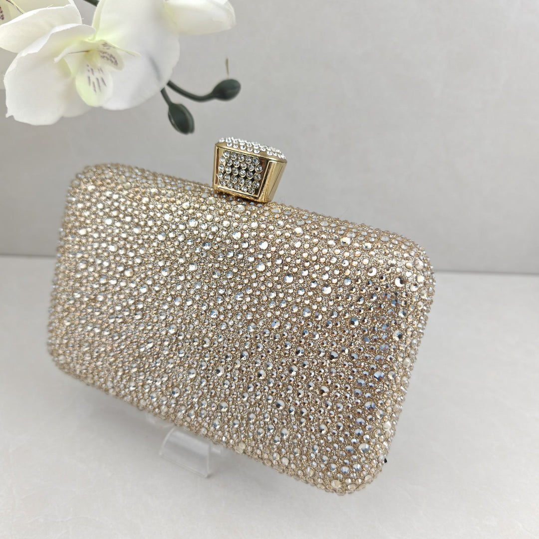 Sparkling Evening Clutch