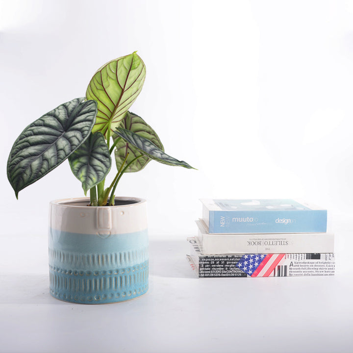 Decorative plant pot with facial features Stornfield