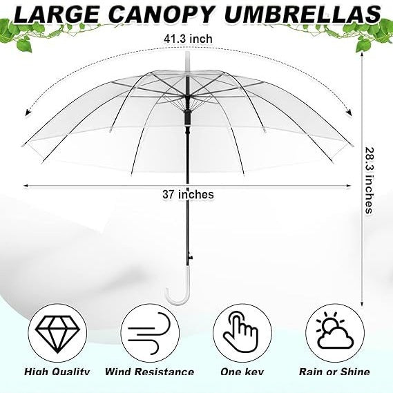 Ladies Transparent Umbrella with Elegant Design Stornfield