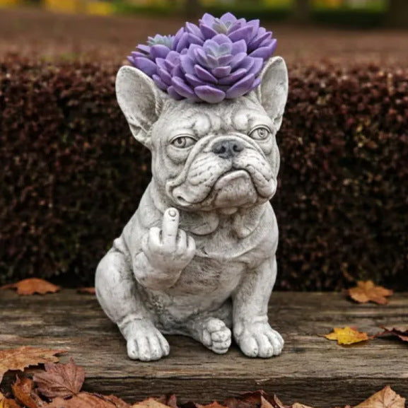 Decorative Dog Plant Stornfield
