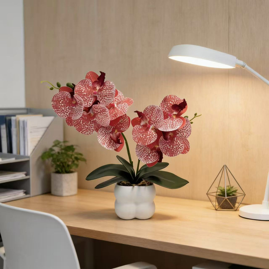Artificial Orchid Arrangement for Home Decor and Indoor Display