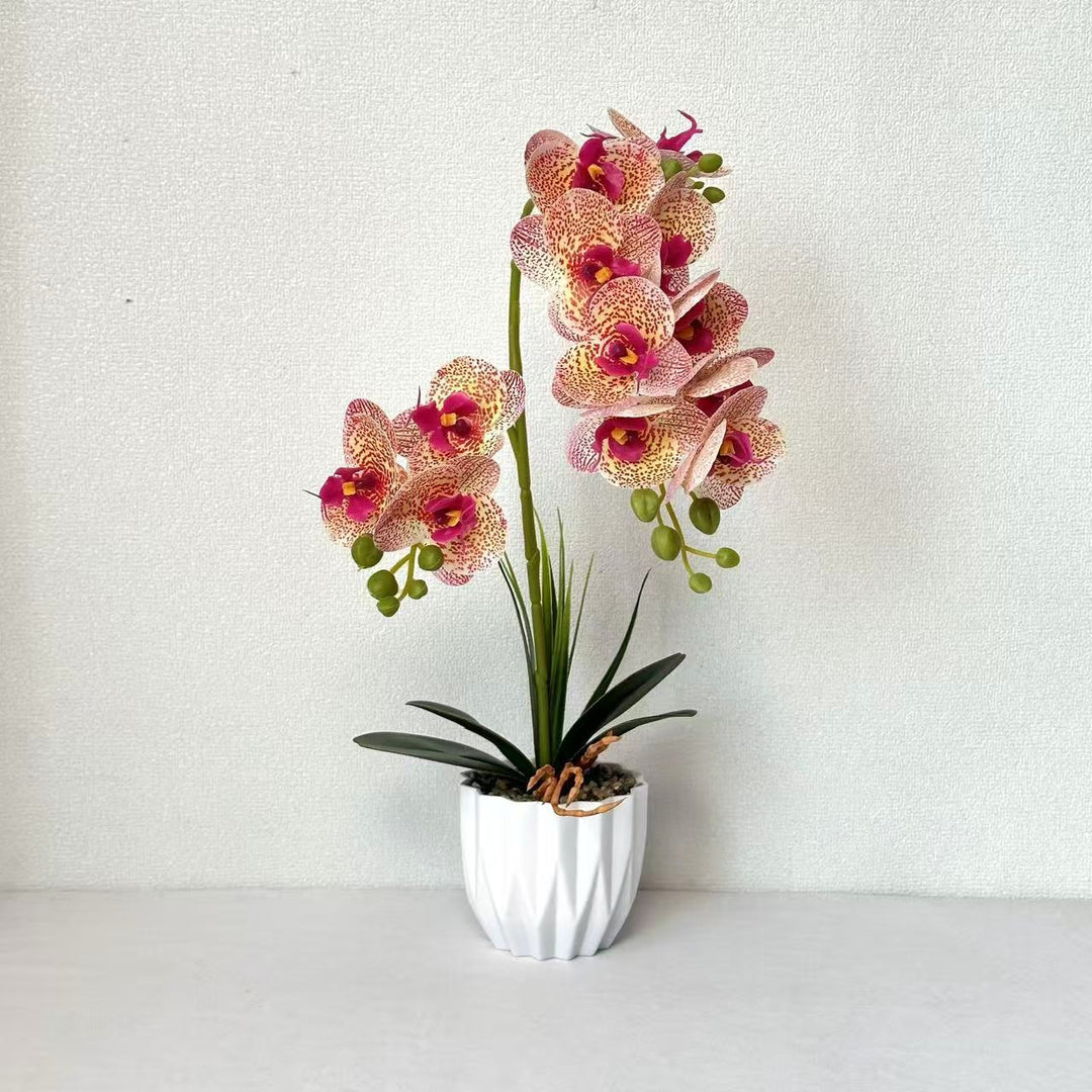 Lifelike Orchid Decorative Plant