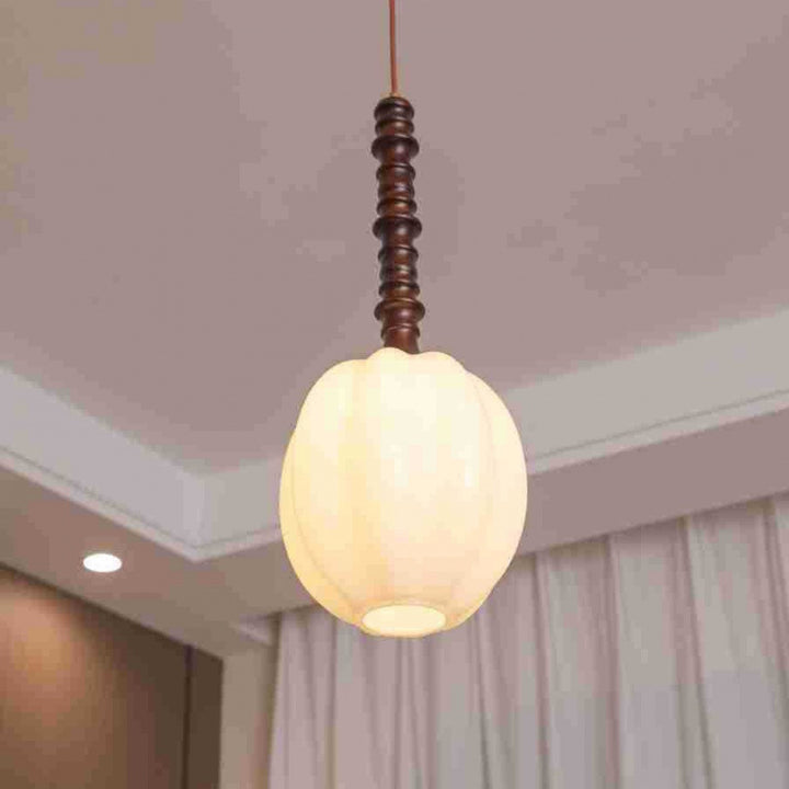 Modern Elegant Hanging Pendant Light