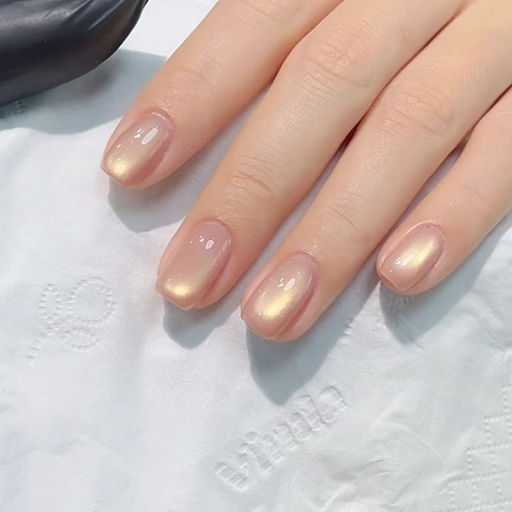 Premium Press-On Nail Art Set