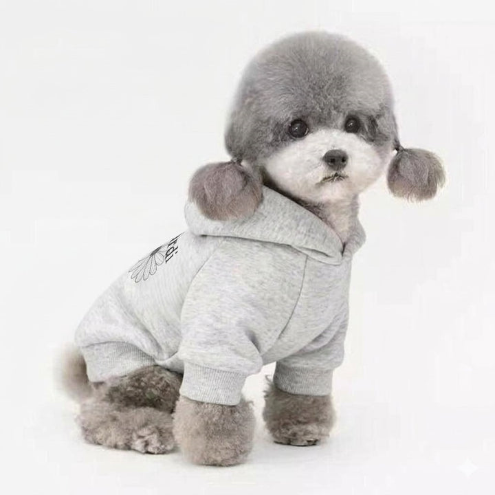 Small Dog Cotton Fleece Pullover Hoodie with Ribbed Cuffs and Daisy Print