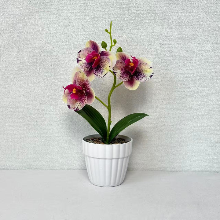 Decorative Artificial Orchid Arrangement for Decorative Home Display