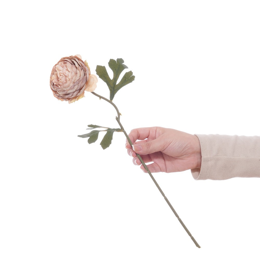 Realistic Floral Stem with Detailed Petals