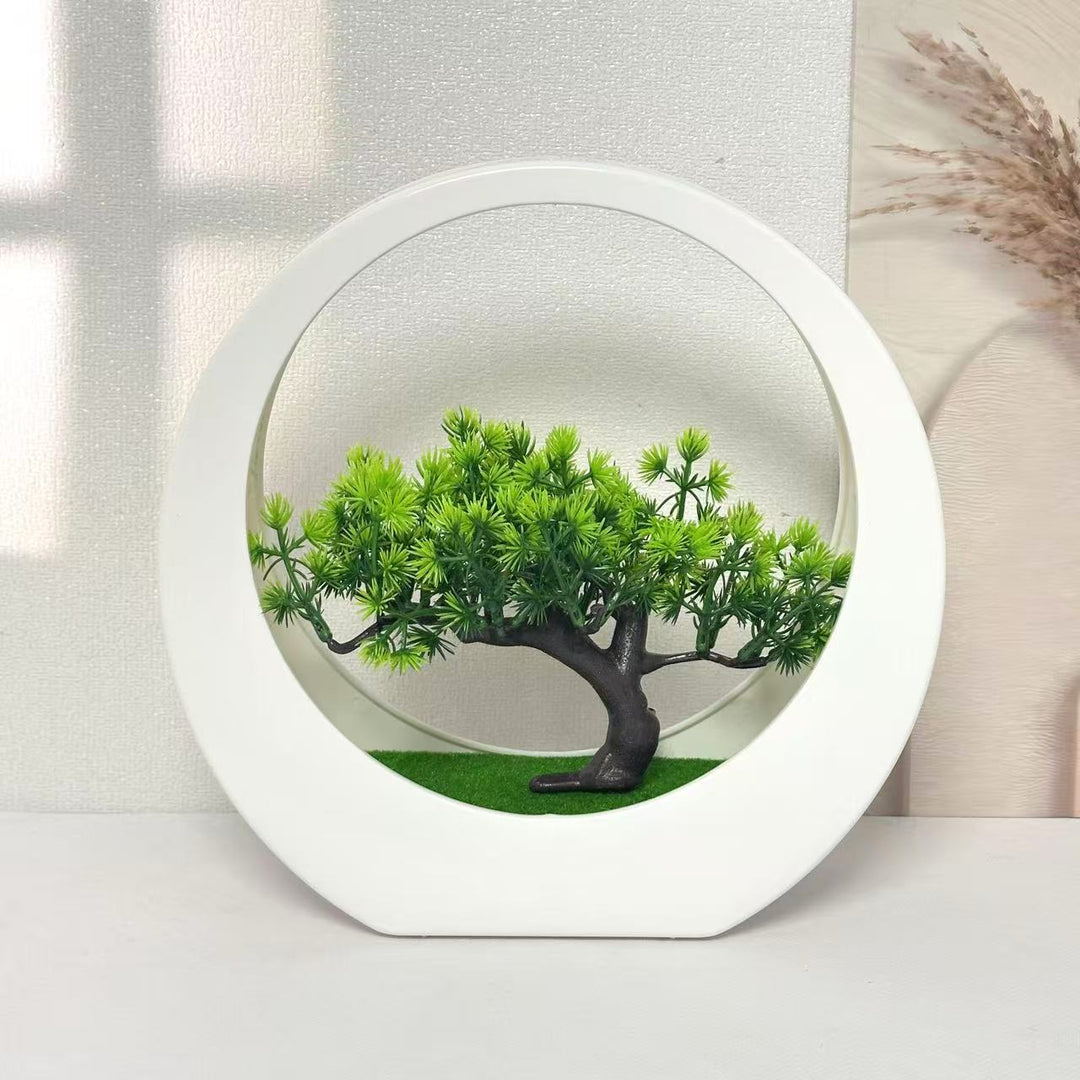 Decorative Bonsai Tree for Indoor Home Display