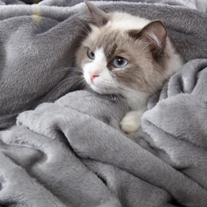 Ladies Snuggle Blanket Stornfield