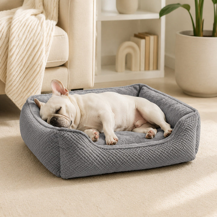 Unisex Pet Bed Stornfield