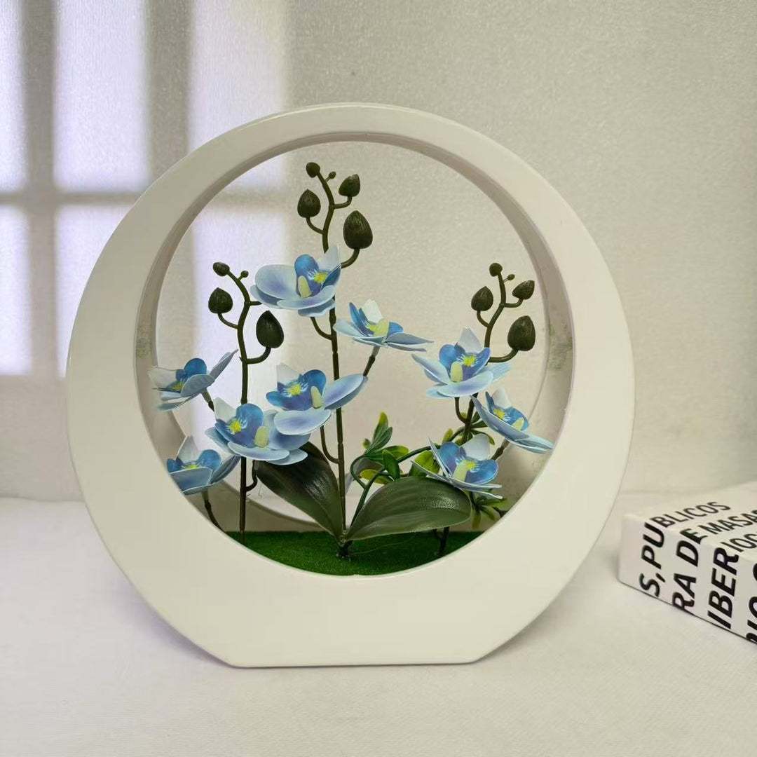 Elegant Decorative Orchid Plant Display for Home Decor