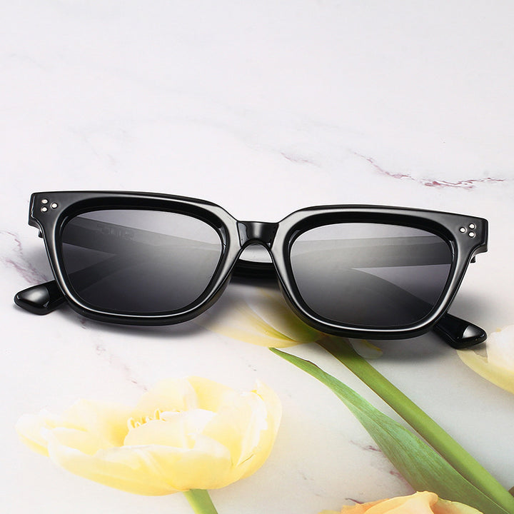 Fashionable Acrylic Sunglasses in Modern Design Stornfield